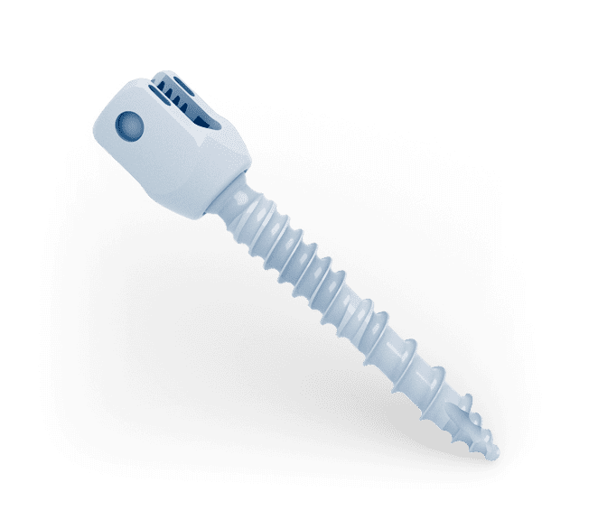 Posterior fixation menu