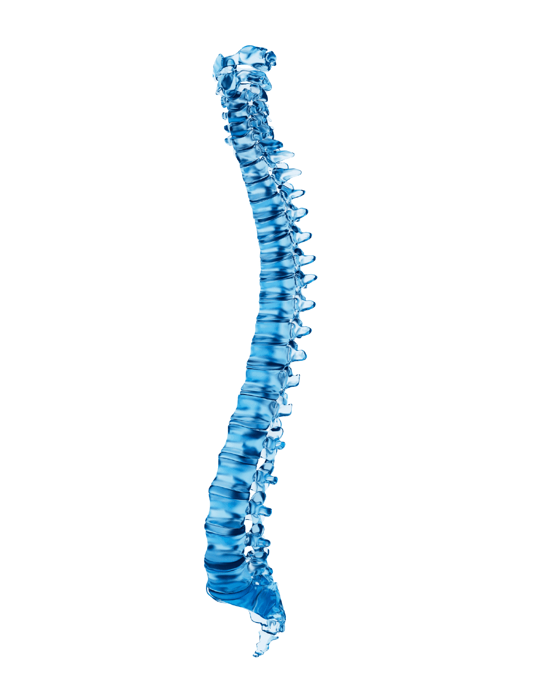 spine products